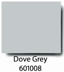 Color Chip 601008