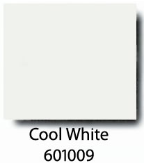 Color Chip 601009